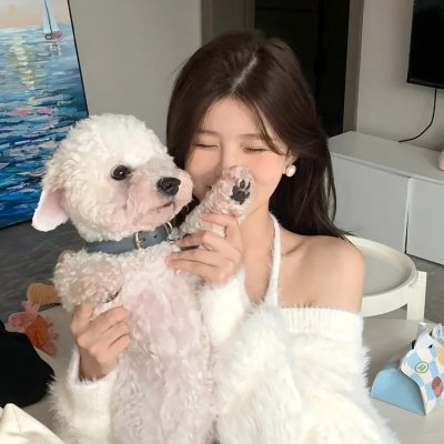 灵书妙探第六季